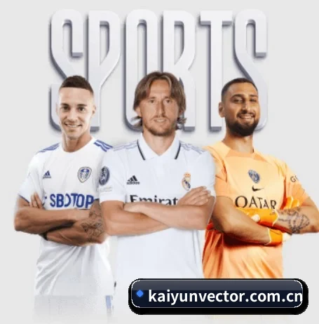kaiyunvector.com.cn五大内容板块,覆盖赛事直播与实时比分